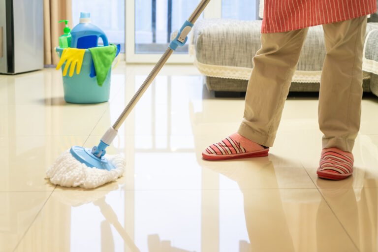 the housewife cleans the house carefully